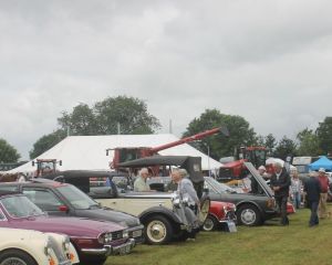 IMG_1361.JPG